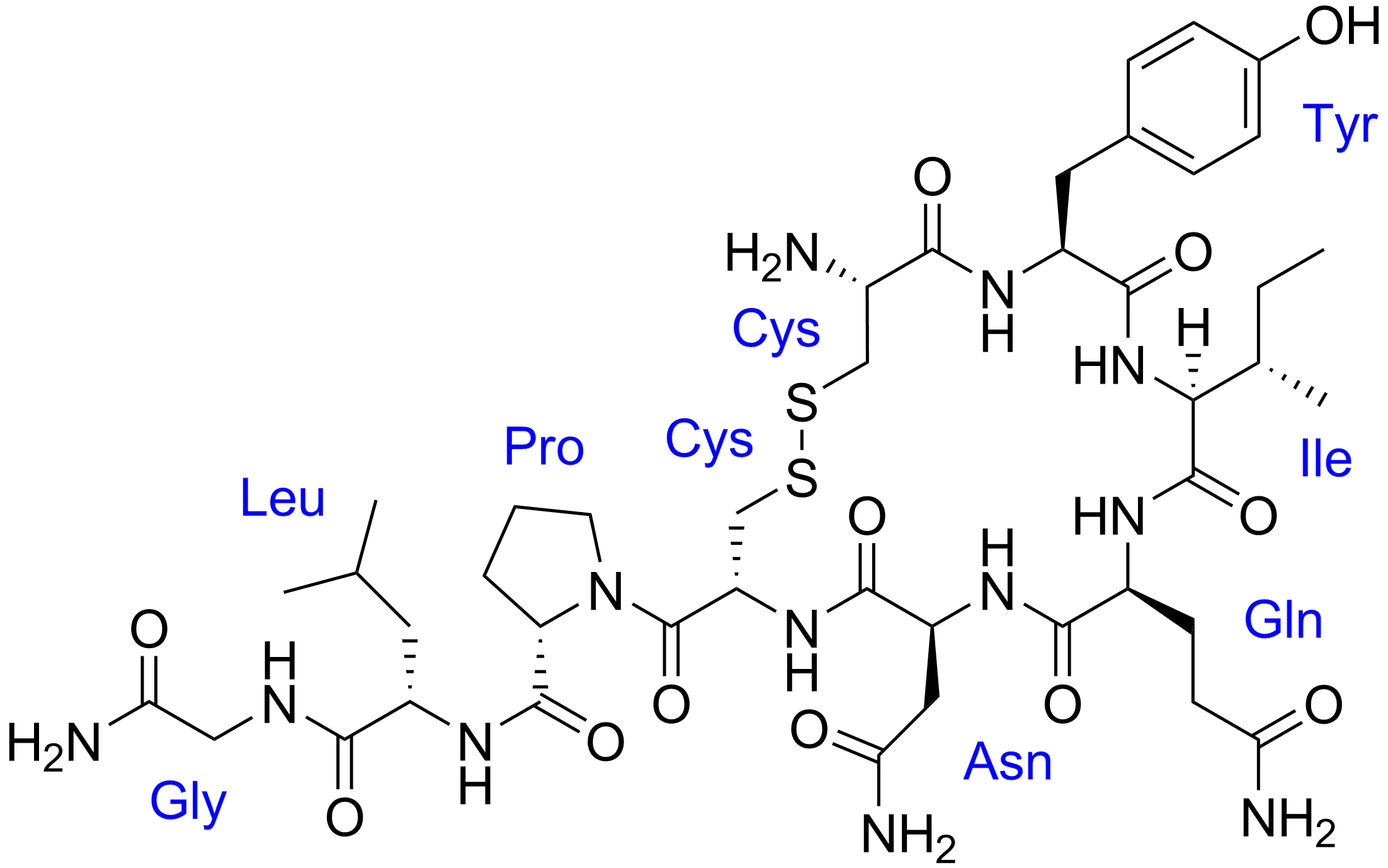 Oxytocin